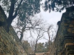 -八大处公园