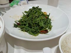 -大铁勺新津菜(熙悦汇店)