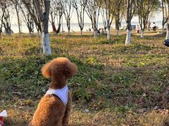 -阳澄湖半岛旅游度假区