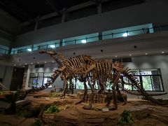 -自贡恐龙博物馆