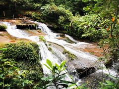 -中国大熊猫保护研究中心雅安碧峰峡基地