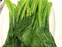 -欢乐海岸美食联盟