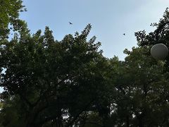 -晓港公园