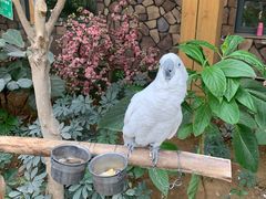 -南宫五洲植物乐园