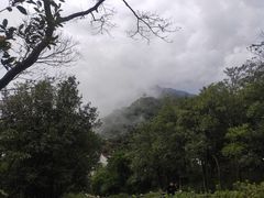 -梧桐山风景名胜区