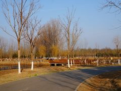 -东郊湿地公园