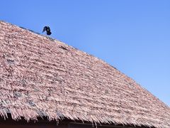 -新疆那拉提国家旅游度假区