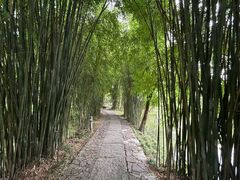 -浙江大学(玉泉校区)