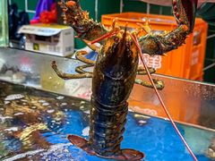 -海煮叹鲜·粥底火锅·港式海鲜打边炉(赛银国际广场店)