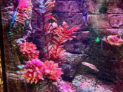 -沈阳海洋探索中心