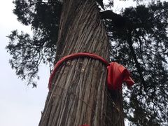 -北京上方山国家森林公园
