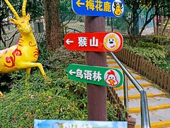 -和平公园