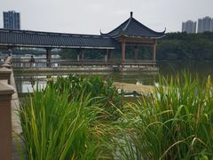 -飞来湖湿地公园