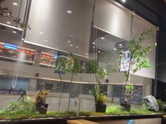 -吉庆莲年有鱼炭烤鱼(苏宁广场店)