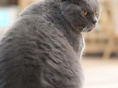 -Rabbit Cafe私房西餐甜点咖啡(栖霞路店)