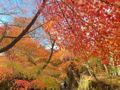-三千院