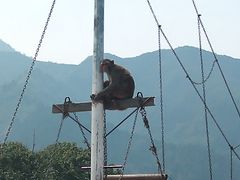 -西安秦岭野生动物园