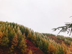 -苏木山森林公园