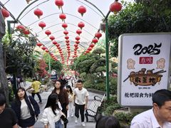 -枇杷园食为鲜火锅(南山店)