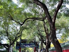 -北京国子监胡同