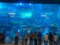 -迪拜水族馆及水下动物园