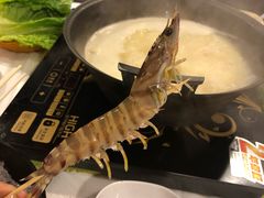 -鲜入围煮花胶鸡海鲜火锅