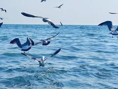 -银沙滩浴场