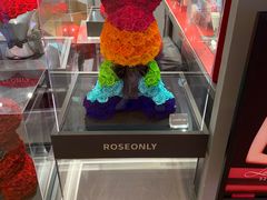 -ROSEONLY诺誓(广州K11店)