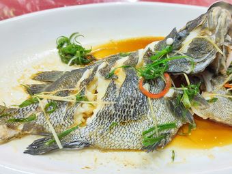 石狮红塔湾附近商户-石狮-大众点评网