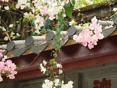 -深圳国际园林花卉博览园