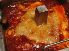 -海底捞火锅(万象城店)