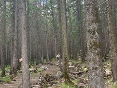 -芦芽山旅游度假区