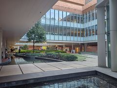 -香港大学