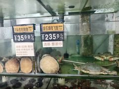 -春妮海味饭店·海景餐厅·海菜包子·大连海鲜