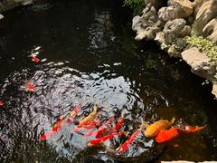 -鲤院·新中式美学·庭院餐厅(夫子庙店)