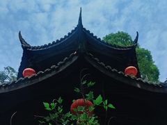 -老君山