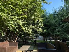 -春风习习