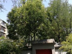 -玲珑塔公园