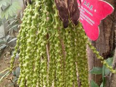 -许昌花溪大酒店