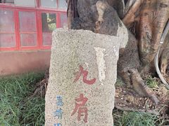 -光明港公园