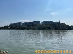 -华侨城湿地公园