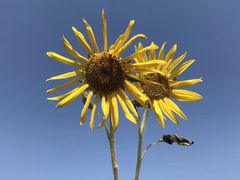 -知味观(湖滨总店)