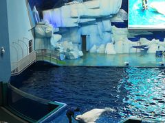 -福州罗源湾海洋世界旅游区