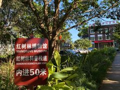 -东寨港红树林旅游区