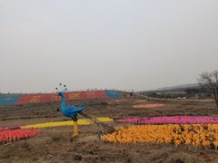 -空港花田景区