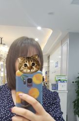 -黛蓝形象定制