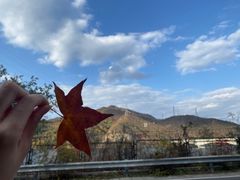 -黑龙潭风景区
