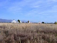 -敕勒川草原