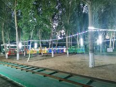 -长白岛森林公园