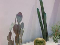 -国家会展中心（上海）虹馆EH